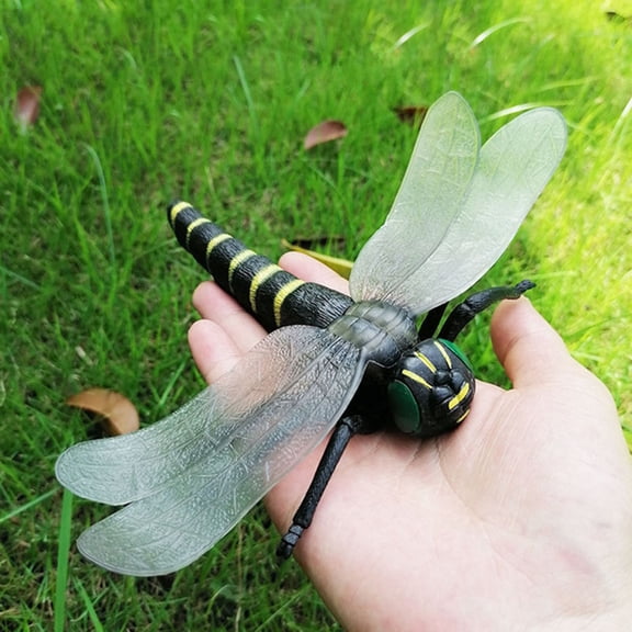 Insect Simulation Model Toys Simulation Wildlife Model Ornaments Fake Spiders Cricket Grasshoppe