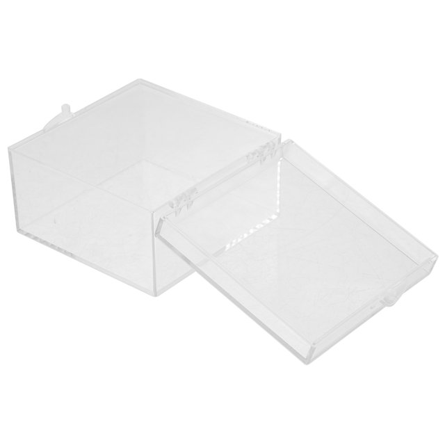 Insect Specimen Box Display Cases Plastic Gems Cube Favor Boxes ...