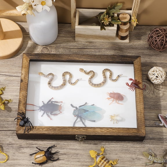 Insect Specimen Box Flying Screen Display Case A4 Picture Frame Toys Mini