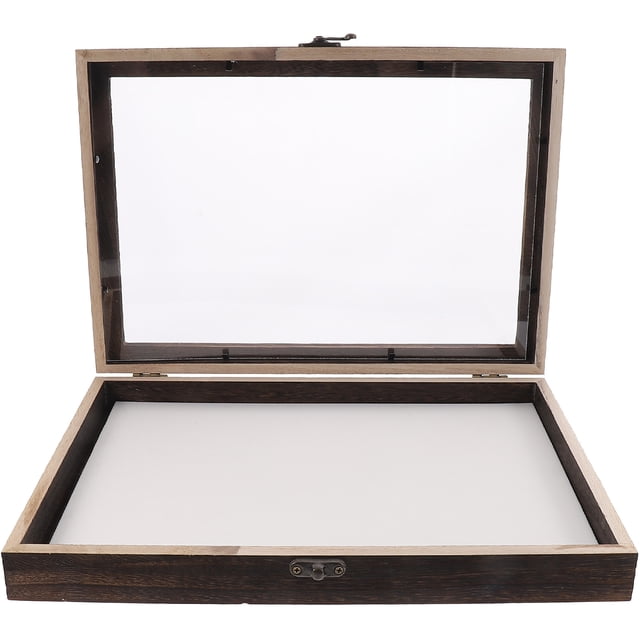 Insect Specimen Box Rock Collection Display Case Storage Boxes Mini ...