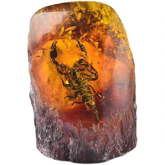 Insect Specimen Bugs in Resin Collection Amber Resin 1pc
