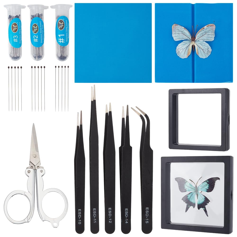 Insect Specimen Tools Kit Butterfly Specimen Tools Insect Pins Insect ...