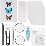 Insect Specimen Tools Kit - EVA Foam Pinning Board, Coordinate Paper, Wings Pressing Paper, Insect Pins, Complete Entomology Kit for Beginners Insect Specimen Tools Kit