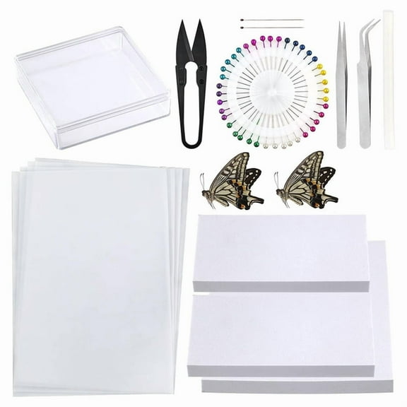 Insect Specimenmaking Tool Kit, Suitable for Insect Lovers' Biology Project Classroom,1set * butterfly pinning kit