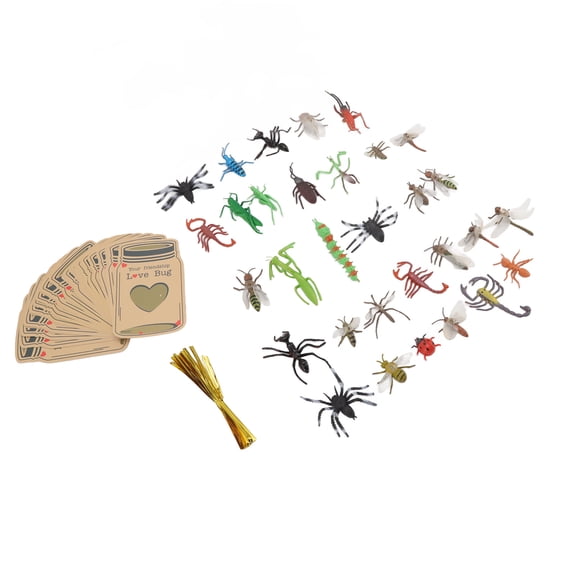 Insect Valentine Greeting Card Exchange Set for Kids Classrooms and School Parties, 30 Pack - 5.1 x 3.1 Inches / 13 x 8 cm
