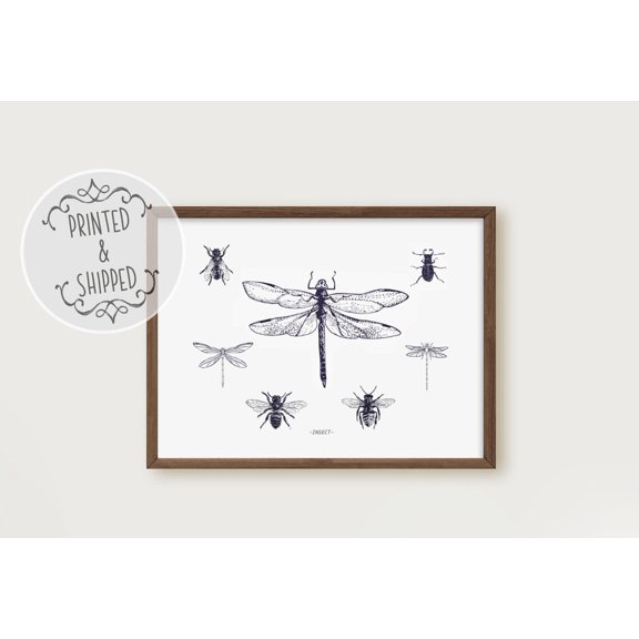 Insect Wall Art, Insect Print, Wall Decor, Dragonfly Print, Bee Print, Vintage Print, Home Decor, Insect Study Print Home Decor #1918, Unframed Poster Size 24x36
