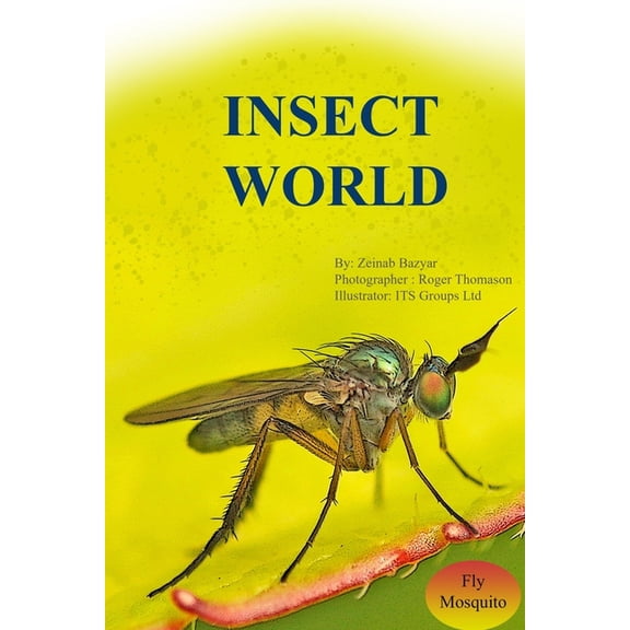 Insect World: Insect World: Fly and Mosquito (Paperback)
