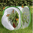 thumbnail image 1 of Insect and Butterfly Habitat Cage Terrarium Pop-up, 12 x 12 x 12 inch, 1 of 7