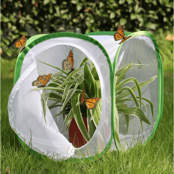 Insect and Butterfly Habitat Cage Terrarium Pop-up, 12 x 12 x 12 inch