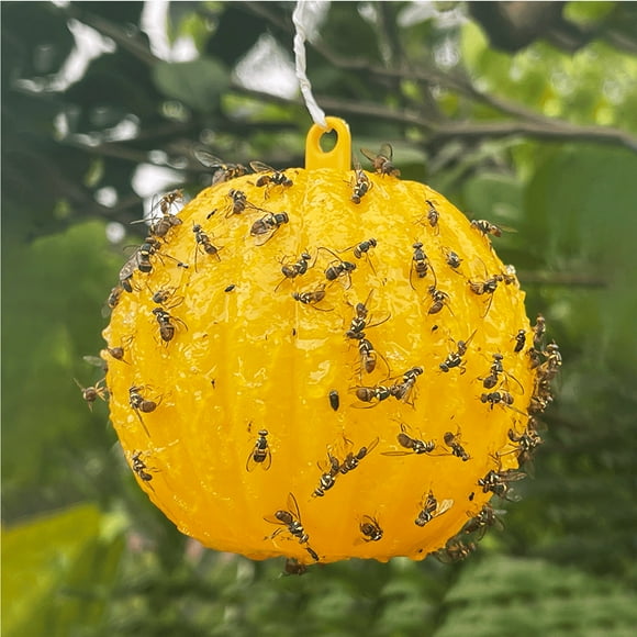 Insect traps disguised as fruits, used to lure and catch wasps, flies, etc. to protect orchards and courtyards Catch the flying bee ball 10Pcs