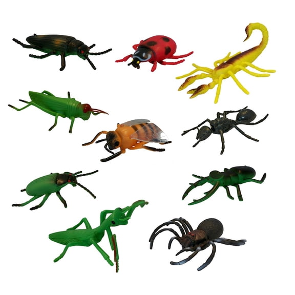 Get Ready Kids Insects and Bugs Biology Science Set, 10 Pieces, 5 in Toy Insects