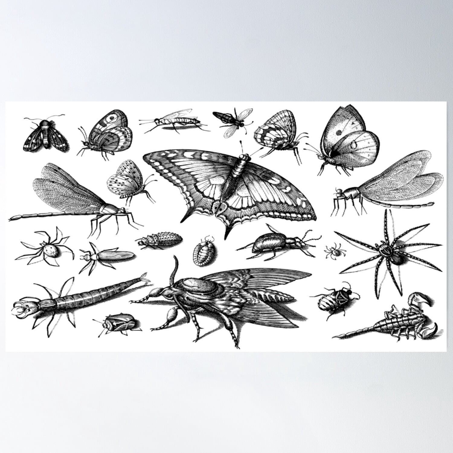 Baby Three Insect Insects And Moths Poster , Poster Print Only - Walmart.com