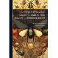 thumbnail image 1 of Insects Attacking Cabbage And Allied Crops In Connecticut (Paperback), 1 of 1