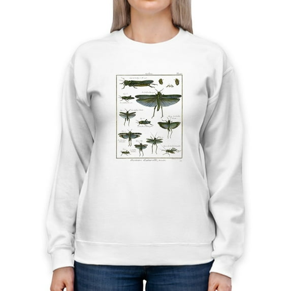 Insects Encyclopedia Sweatshirt Women -Denis Diderot Designs, Female 3X-Large