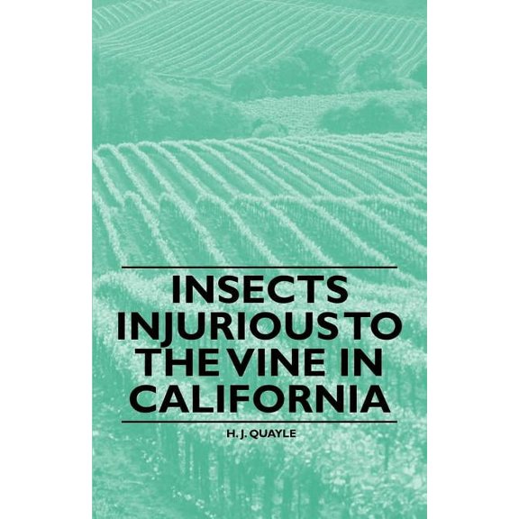 Insects Injurious to the Vine in California (Paperback)