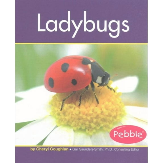 Insects: Ladybugs (Paperback)