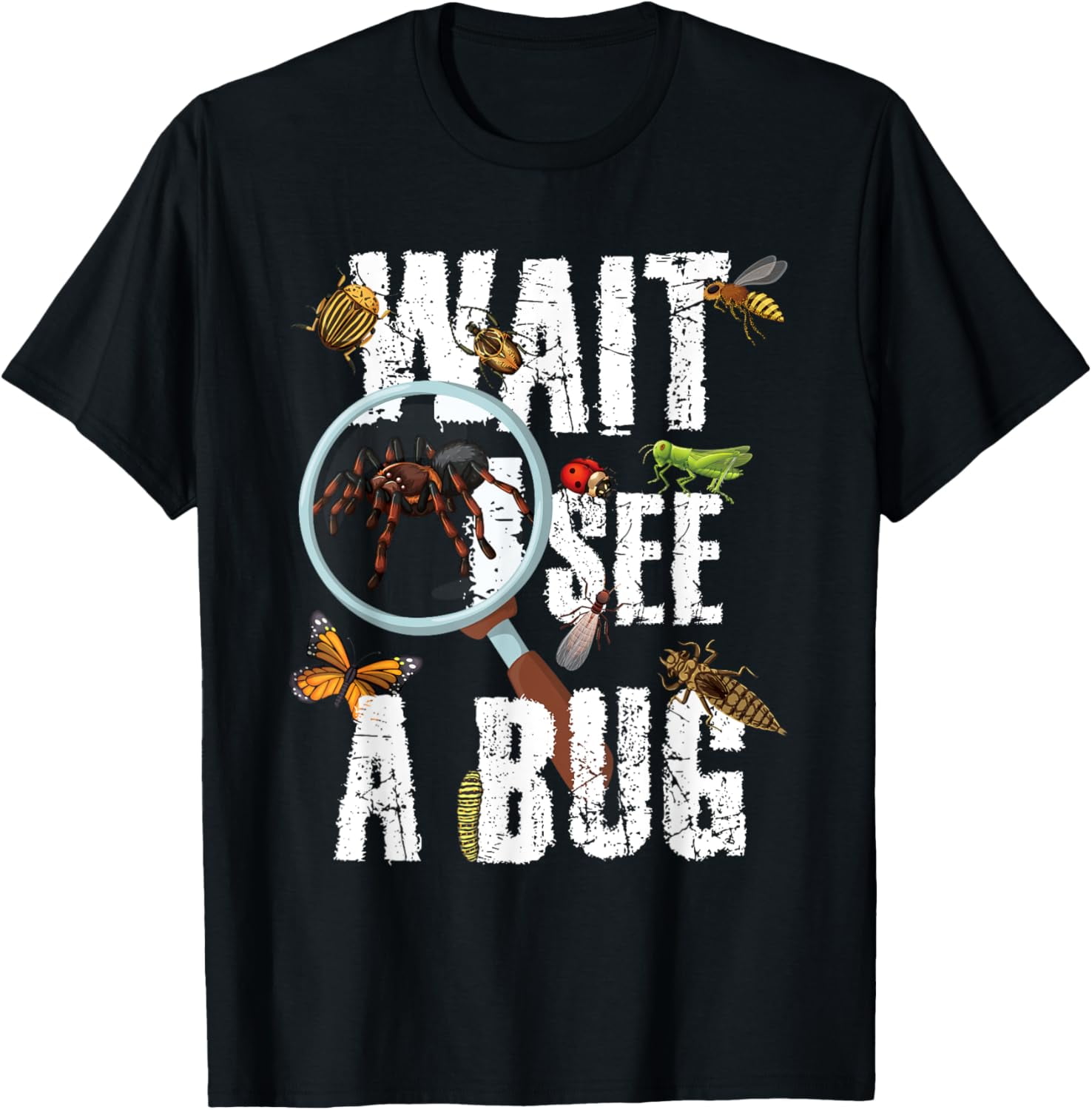 Insects Of The World Bug Lover Expert Entomologist Bugs Fan TShirt4XL