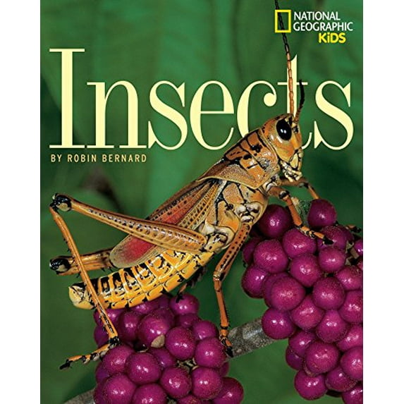 Pre-Owned Insects (Paperback) 0792266706 9780792266709