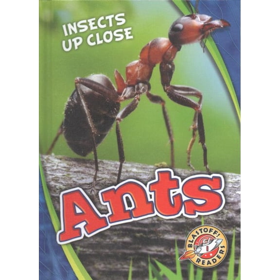Pre-Owned Insects Up Close: Ants (Hardcover)