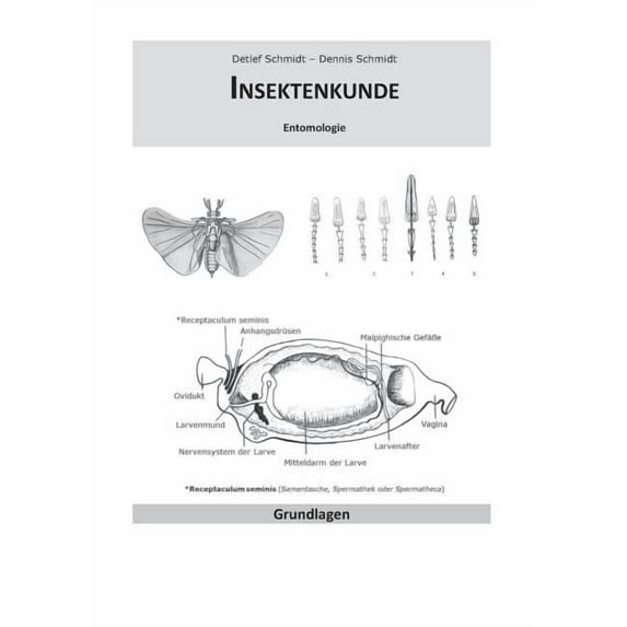 Insektenkunde: Entomologie verstehen und im Studium gezielt anwenden, (Paperback)