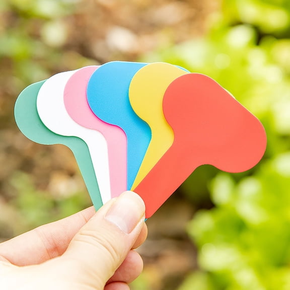 Insert Card Gardening Label Insert Ground Card Identification Card Flower Label Card for Pot and Garden Organization 50PCS, 5x7 cm, White