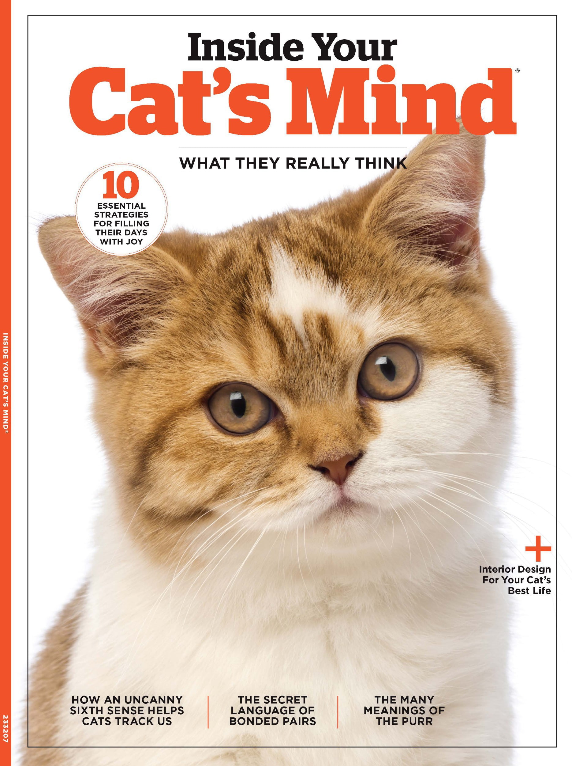 Inside Your Cats Mind What They Really Think Need, Dr. Zazie Todd