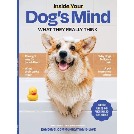 Inside Your Dog's Mind - What They Really Think: Right Way To Touch Them, Bark Meaning, Why Dogs Feel Your Pain, Guide To Pet Insurance, Sniffing Walk, Microadventures, Bonding, Health Span More!