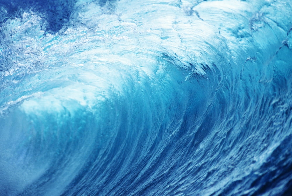 Inside Glassy Blue Wave Curling Over Closeup Canvas Art - Vince Cavataio Design Pics (38 x 24)