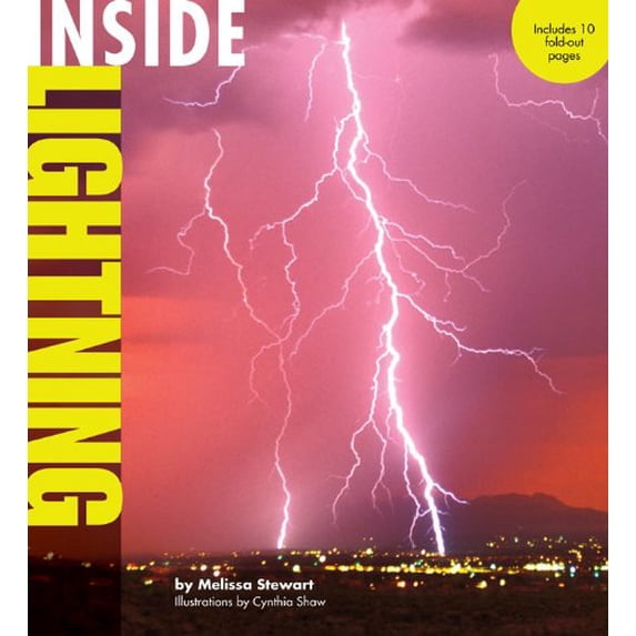 Pre-Owned Inside Lightning (Paperback) 1402789491 9781402789496