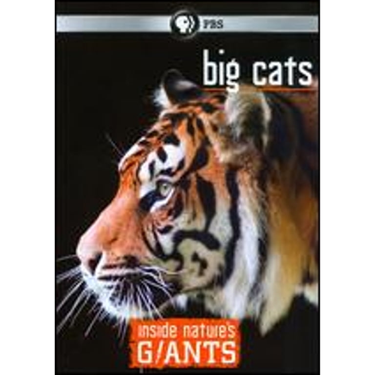 その他 Big Cats Collection [DVD] Amazon.com: Big Cat Collection Vol 5 : National Geographic: Movies