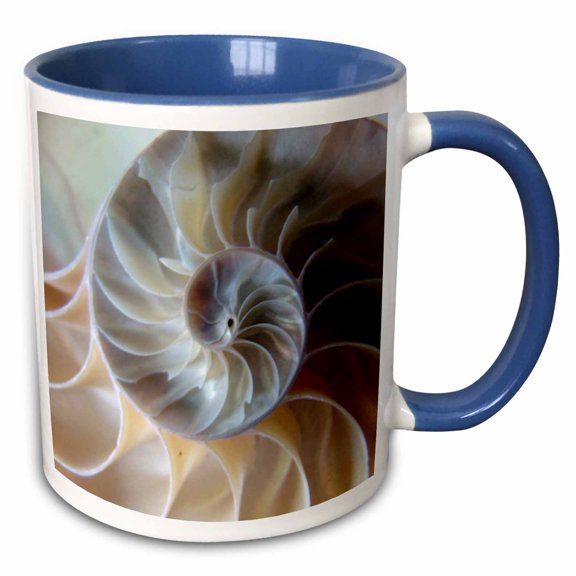 3drose, Inside Nautilus, 15oz Two-tone Blue Mug