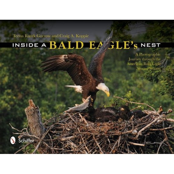 Pre-Owned Inside a Bald Eagle's Nest: A Photographic Journey Through the American Bald Eagle Nesting Season (Hardcover) 0764344641 9780764344640