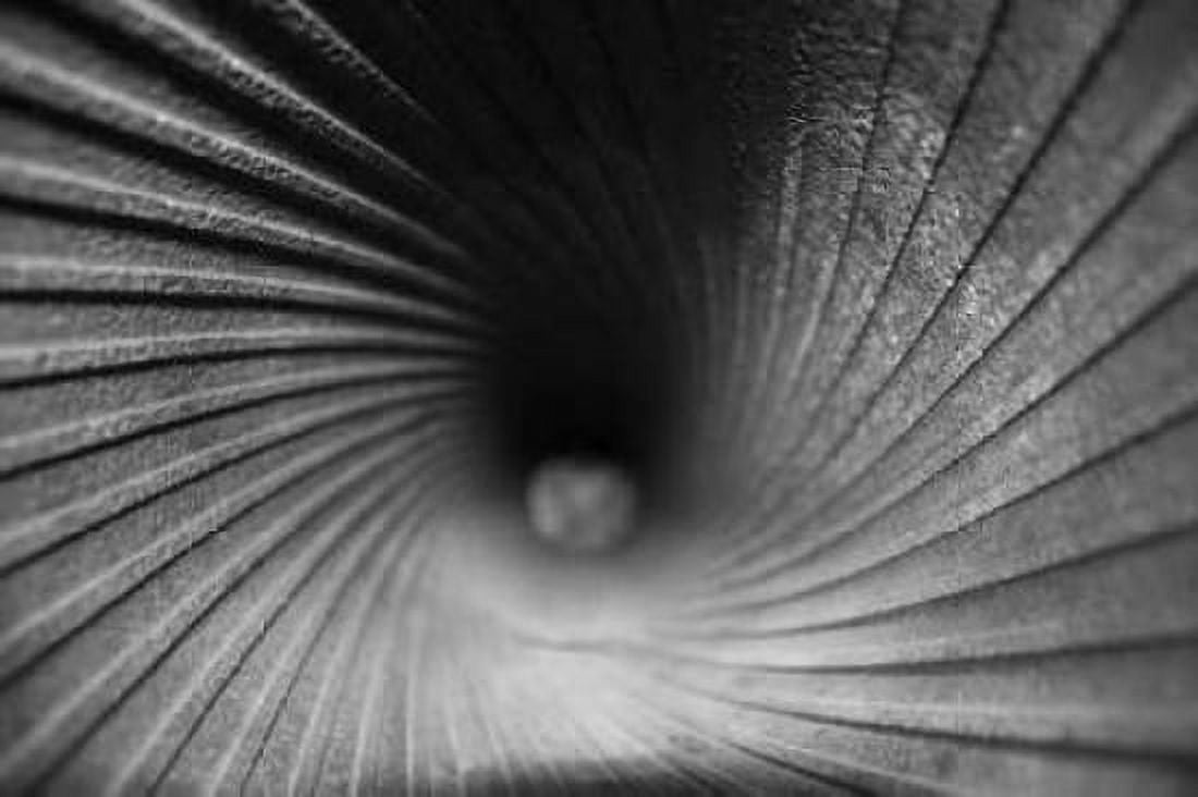 Inside a Howitzer Canvas Art - Tammy Putman (20 x 28)