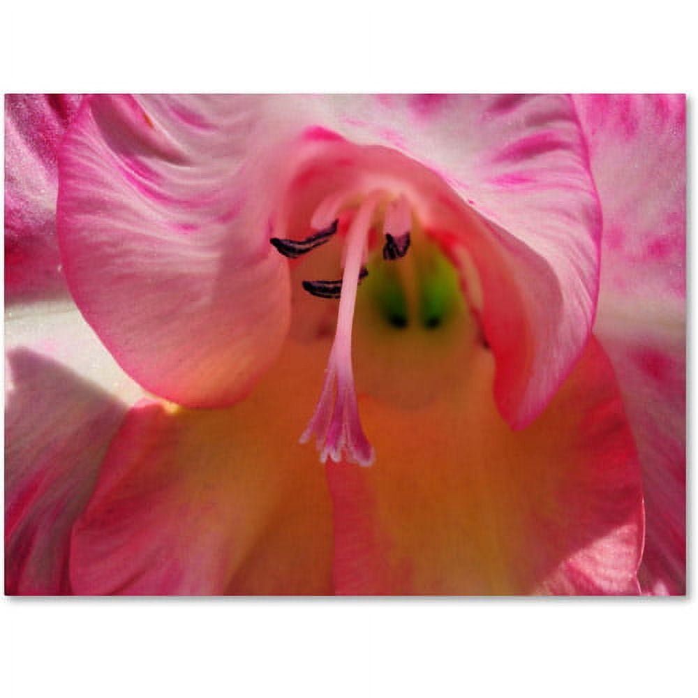 "Inside a Lily" Canvas Wall Art by Kurt Shaffer