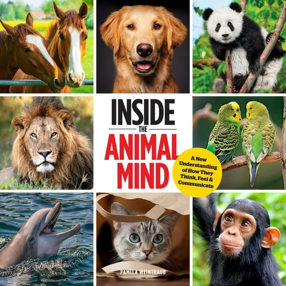 Inside the Animal Mind : A New Understanding of How They Think, Feel & Communicate (Hardcover)