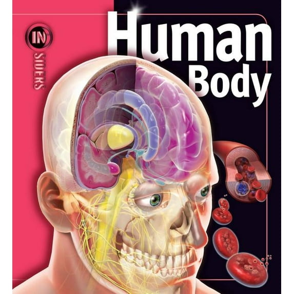Insiders: Human Body (Hardcover)