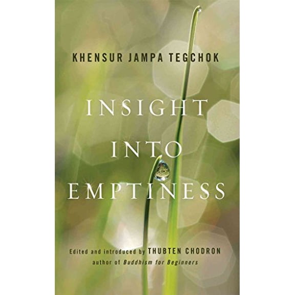 Pre-Owned Insight Into Emptiness (Paperback) 161429013X 9781614290131
