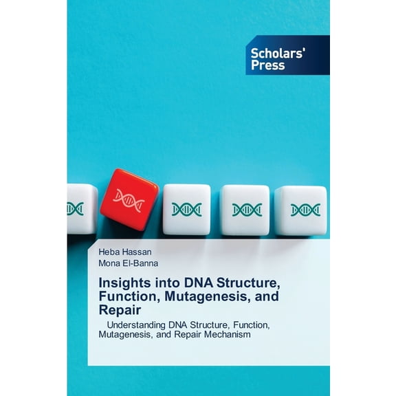 Insights into DNA Structure, Function, Mutagenesis, and Repair, (Paperback)