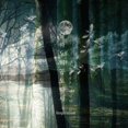 thumbnail image 1 of Inspiration, 1 of 1