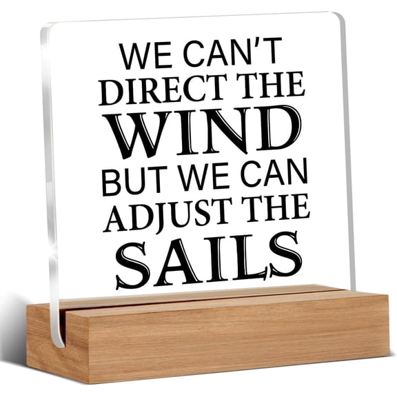 Inspirational Gift Motivational We Cannot Direct the Wind Clear Desk Decorative Sign Acrylic Sign With Wooden Stand for Office Desk Table Shelf 4x4 Inch