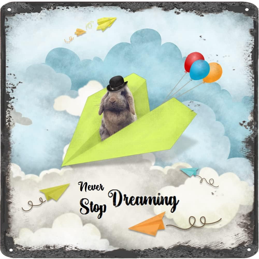 Inspirational Wall Art -Never Stop Dreaming,Rabbit Vintage Tin Sign ...