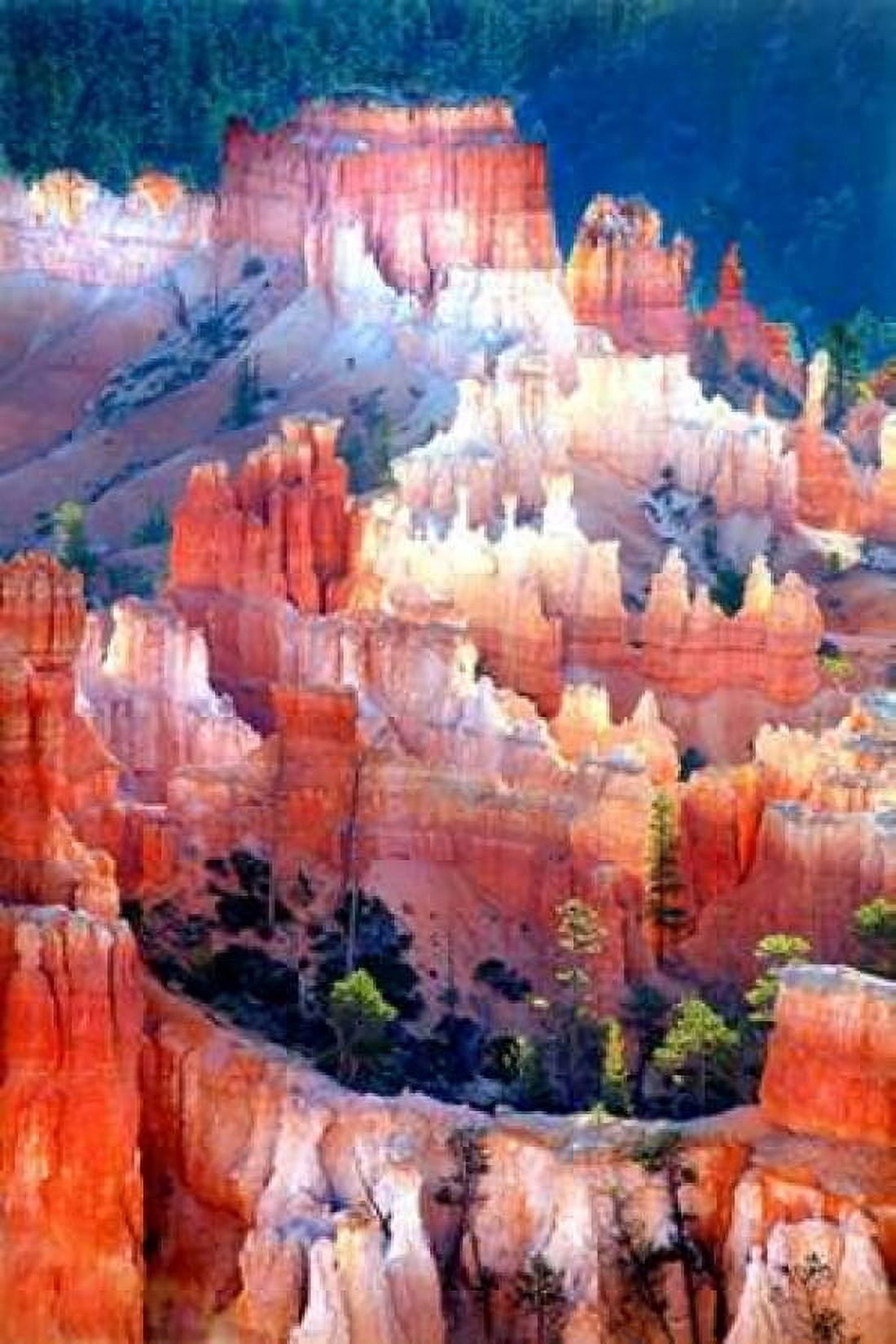Inspiring Light Canvas Art - Douglas Taylor (24 x 36)