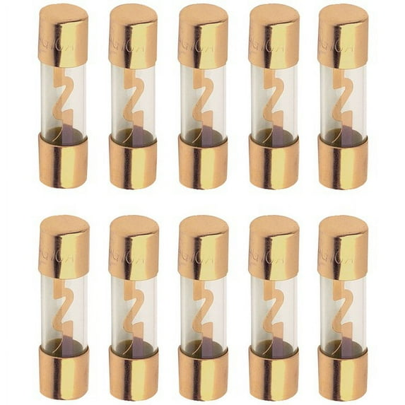 AGU FUSES 10 PK 30A