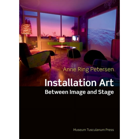 Installation Art : Between Image and Stage (Paperback)