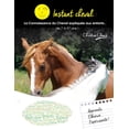 thumbnail image 1 of Instant Cheval Instant Cheval: la connaissance du Cheval expliquée aux enfants... de 7 à 97 ans !, Book 1, (Paperback), 1 of 1