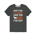 thumbnail image 1 of Instant Message - Aint No Llama  - Youth Short Sleeve Tee, 1 of 5