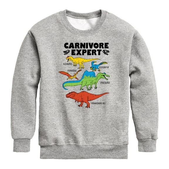 Instant Message - Dinosaur - Carnivore Expert - Toddler & Youth Crewneck Fleece Sweatshirt