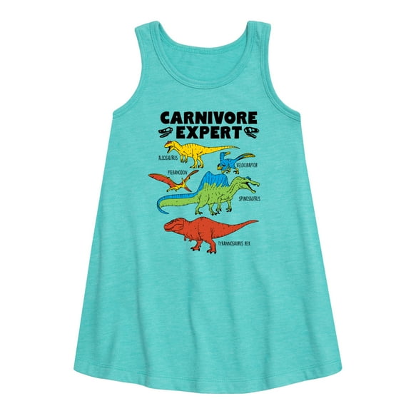 Instant Message - Dinosaur - Carnivore Expert - Toddler & Youth Girls A-line Dress