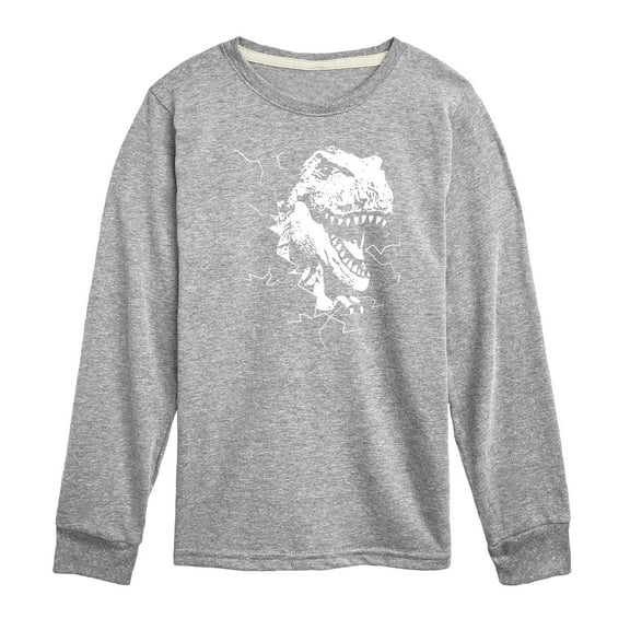 Instant Message - Dinosaur - T-Rex Shatters Glass Breakthru - Toddler & Youth Long Sleeve Graphic T-Shirt