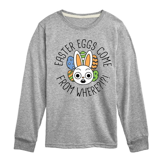 Instant Message - Easter Eggs Come From Where - Toddler & Youth Long Sleeve Graphic T-Shirt